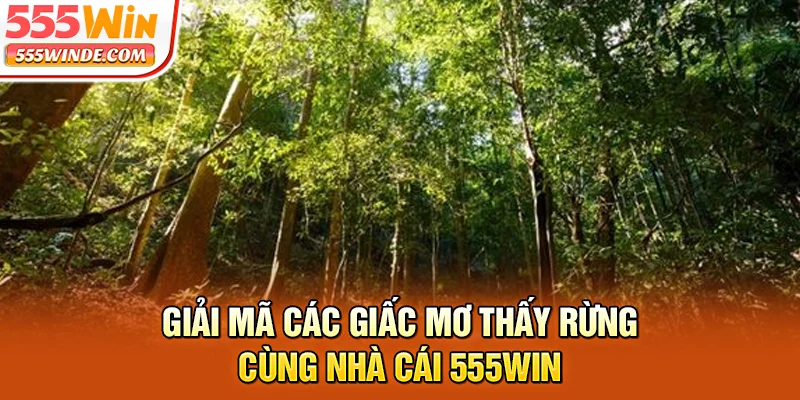 Giải mã các giấc mơ thấy rừng cùng nhà cái 555win