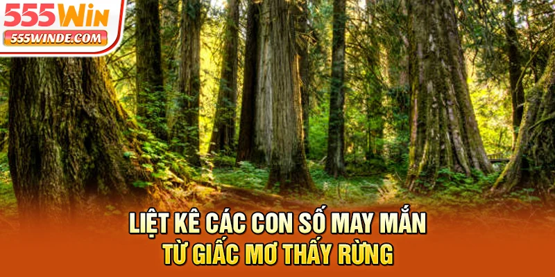 Liệt kê các con số may mắn từ giấc mơ thấy rừng