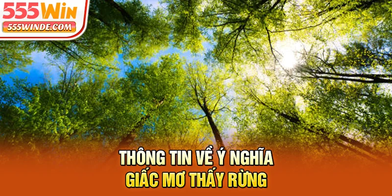 Thông tin về ý nghĩa giấc mơ thấy rừng